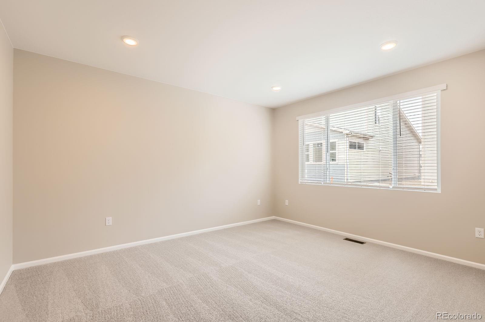 MLS Image #7 for 4231  crestone peak street,brighton, Colorado