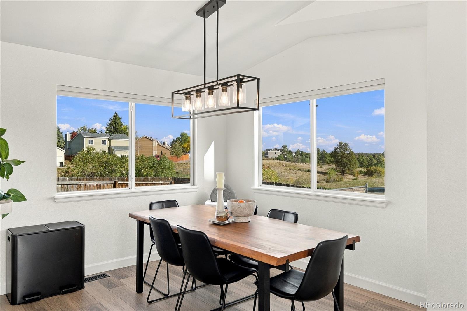 MLS Image #10 for 5803  whitechapel street,castle rock, Colorado