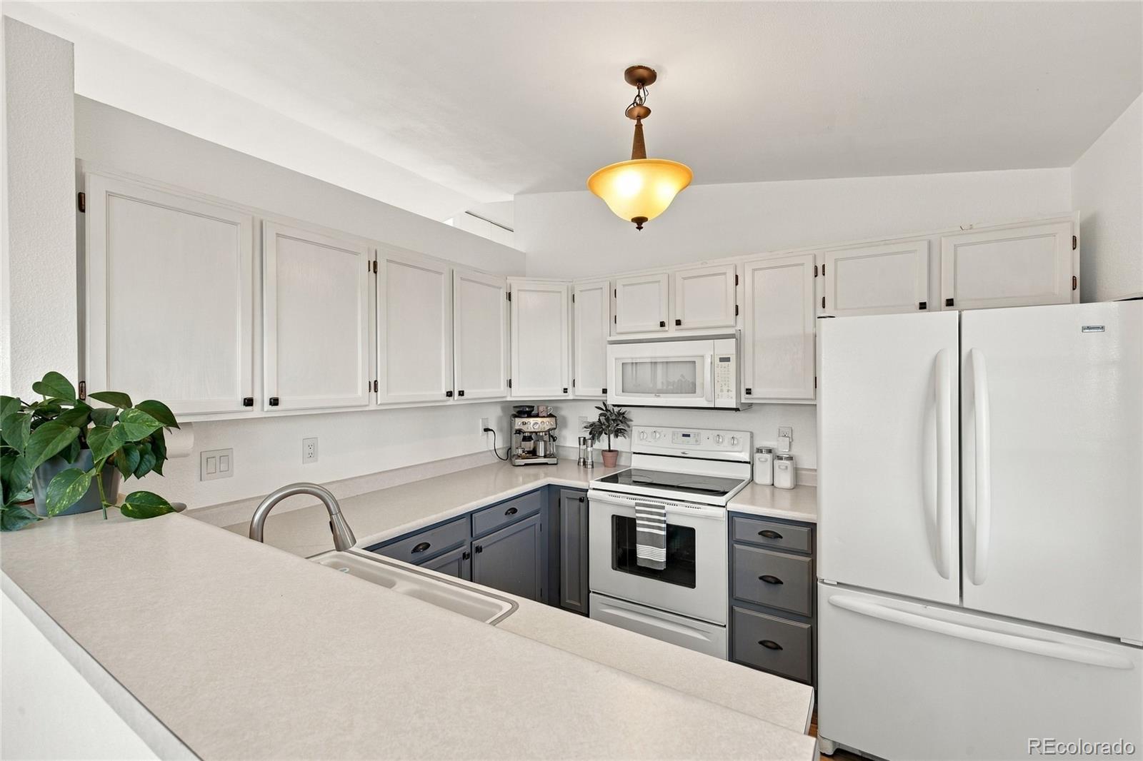 MLS Image #13 for 5803  whitechapel street,castle rock, Colorado