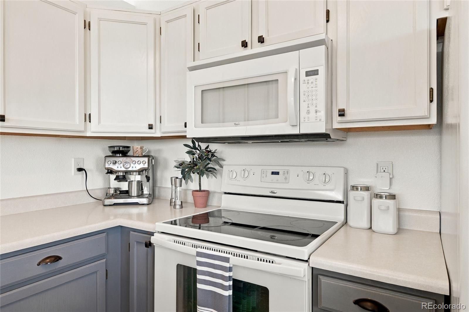 MLS Image #14 for 5803  whitechapel street,castle rock, Colorado