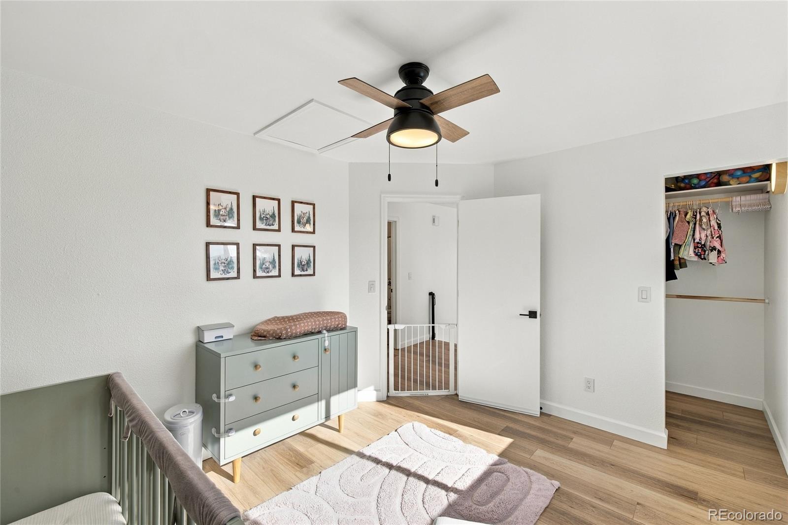 MLS Image #21 for 5803  whitechapel street,castle rock, Colorado