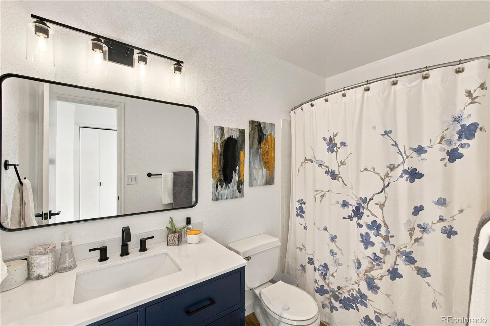 MLS Image #22 for 5803  whitechapel street,castle rock, Colorado