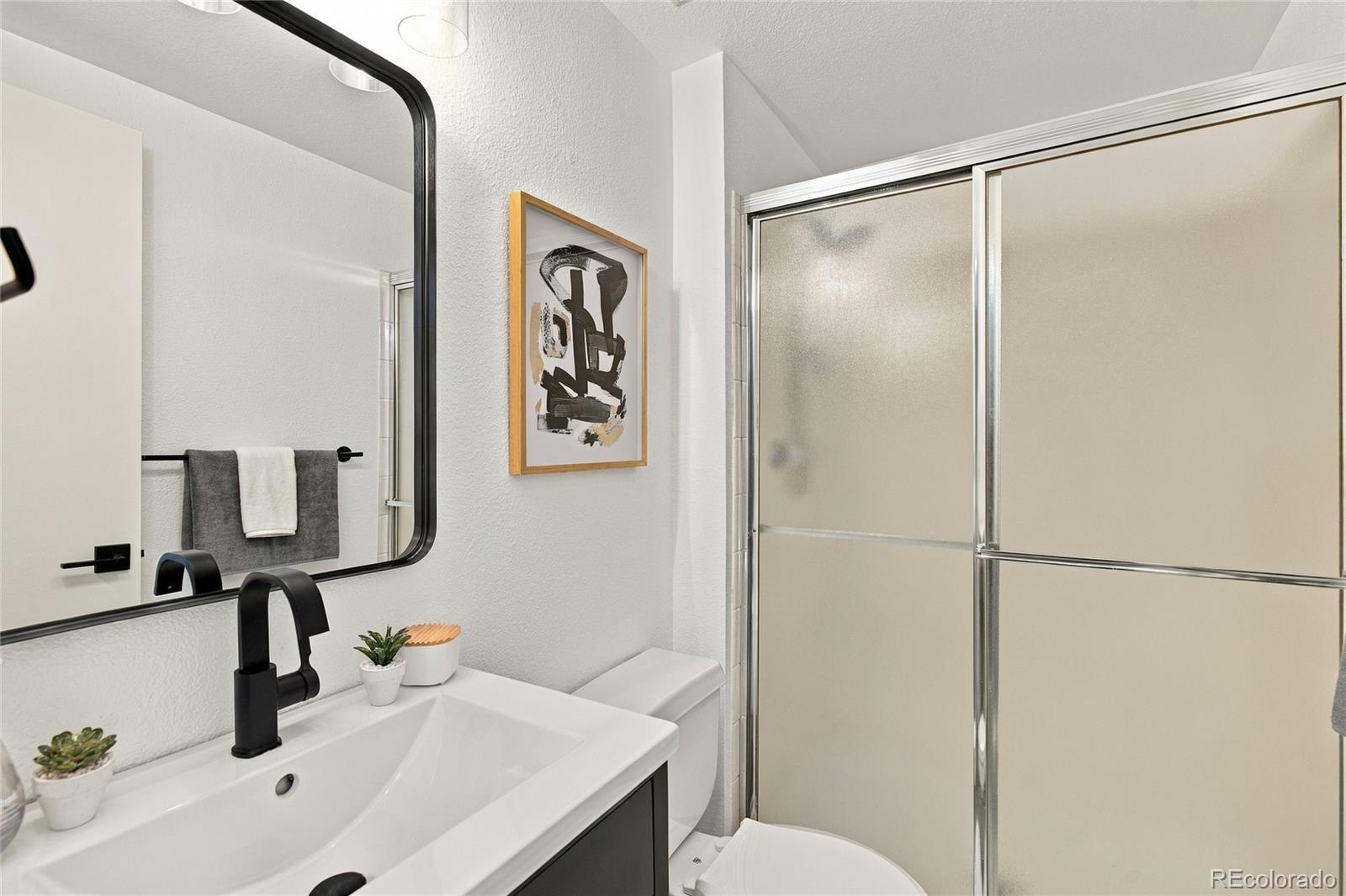 MLS Image #30 for 5803  whitechapel street,castle rock, Colorado