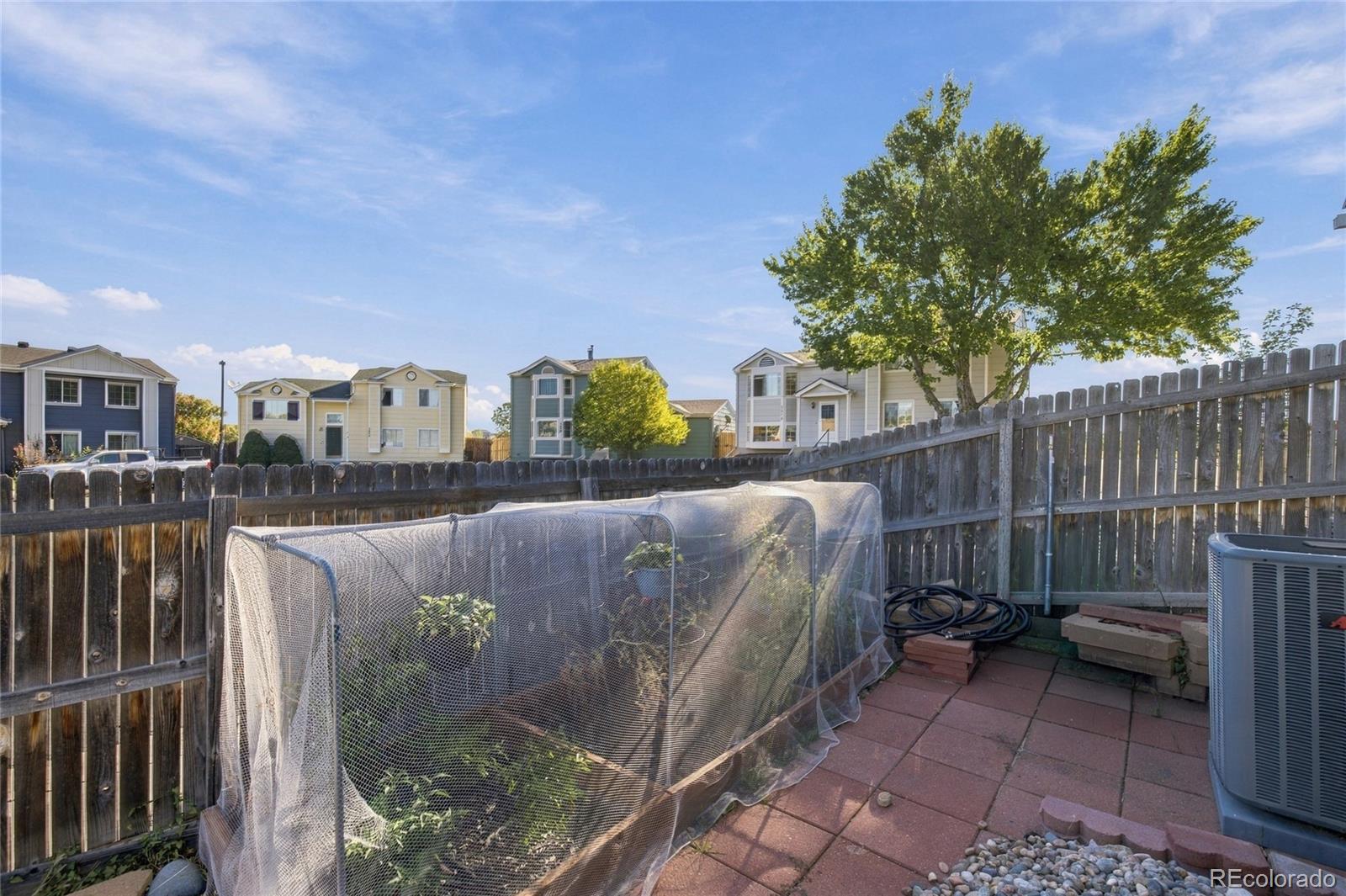 MLS Image #33 for 5803  whitechapel street,castle rock, Colorado