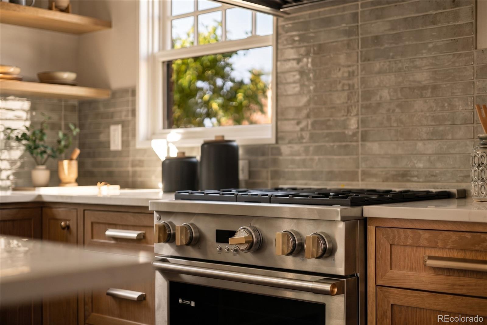 MLS Image #2 for 1000  bonnie brae boulevard,denver, Colorado