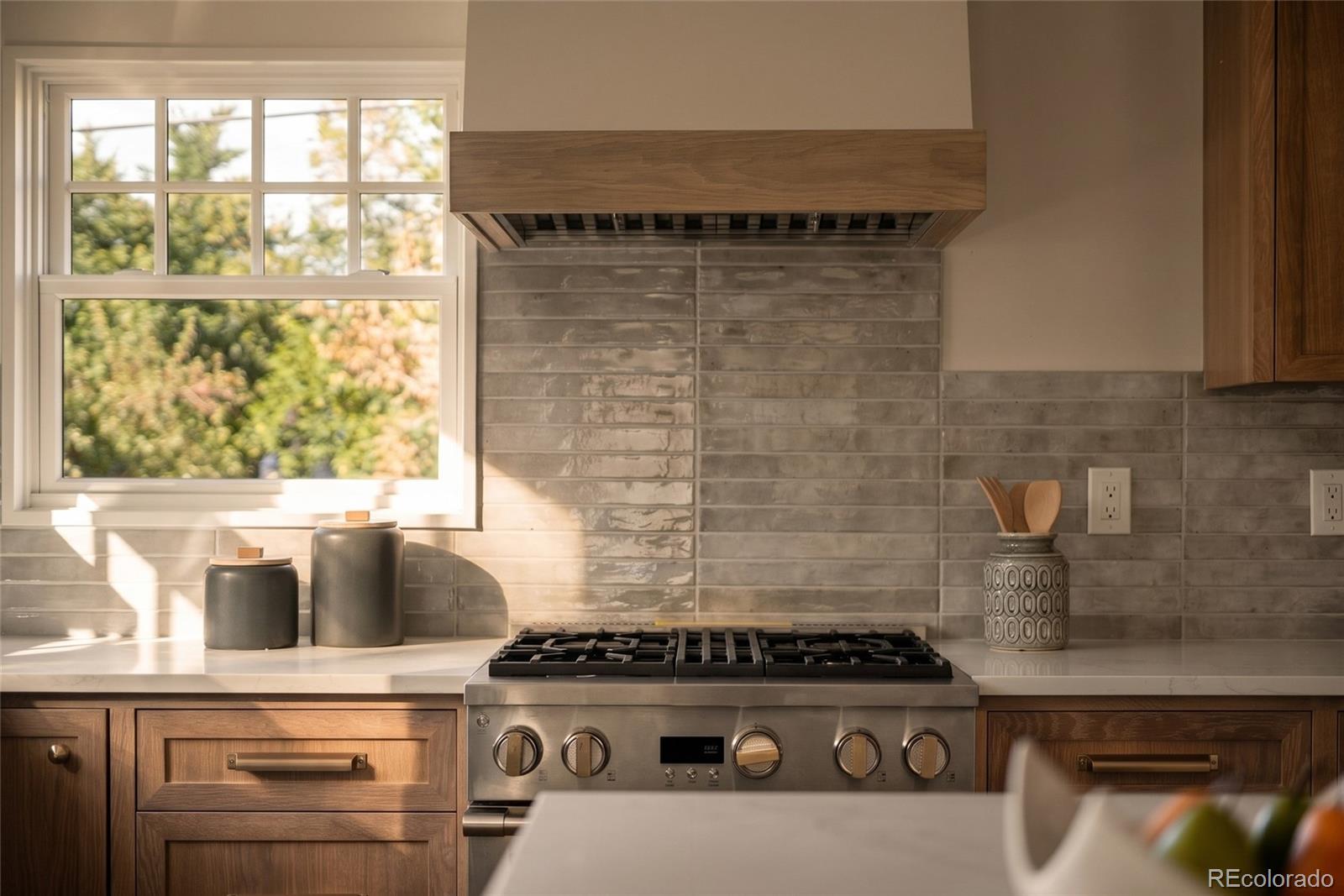MLS Image #22 for 1000  bonnie brae boulevard,denver, Colorado
