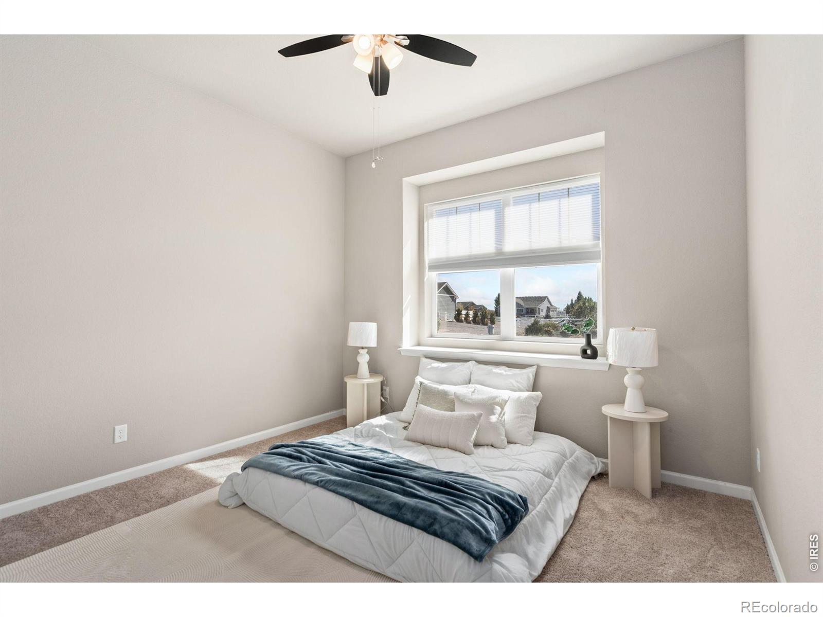 MLS Image #14 for 9905 e 161st place,brighton, Colorado