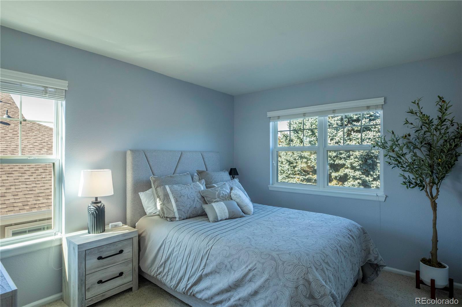 MLS Image #27 for 3980  mallard drive,highlands ranch, Colorado