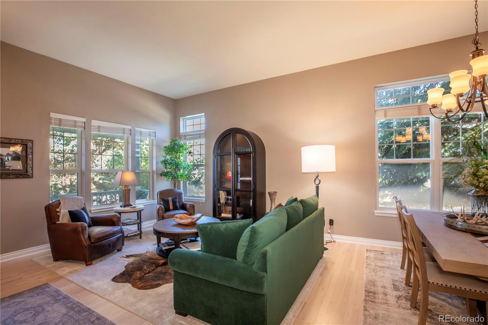 MLS Image #7 for 3980  mallard drive,highlands ranch, Colorado