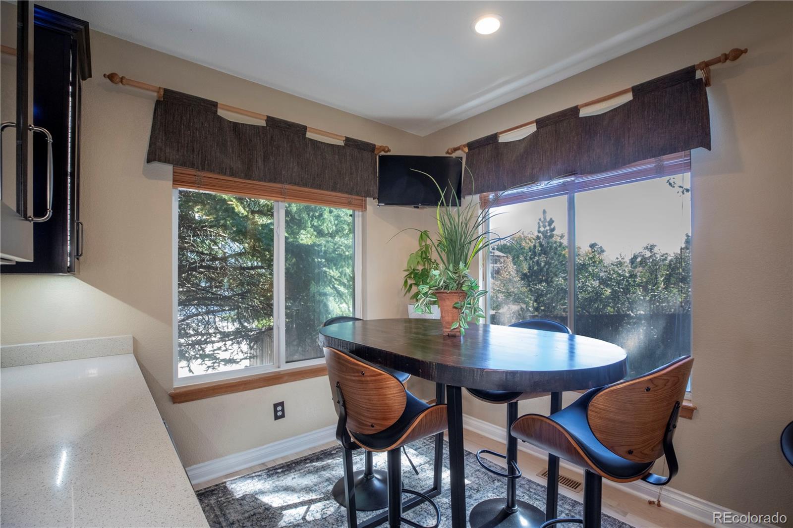 MLS Image #9 for 3980  mallard drive,highlands ranch, Colorado