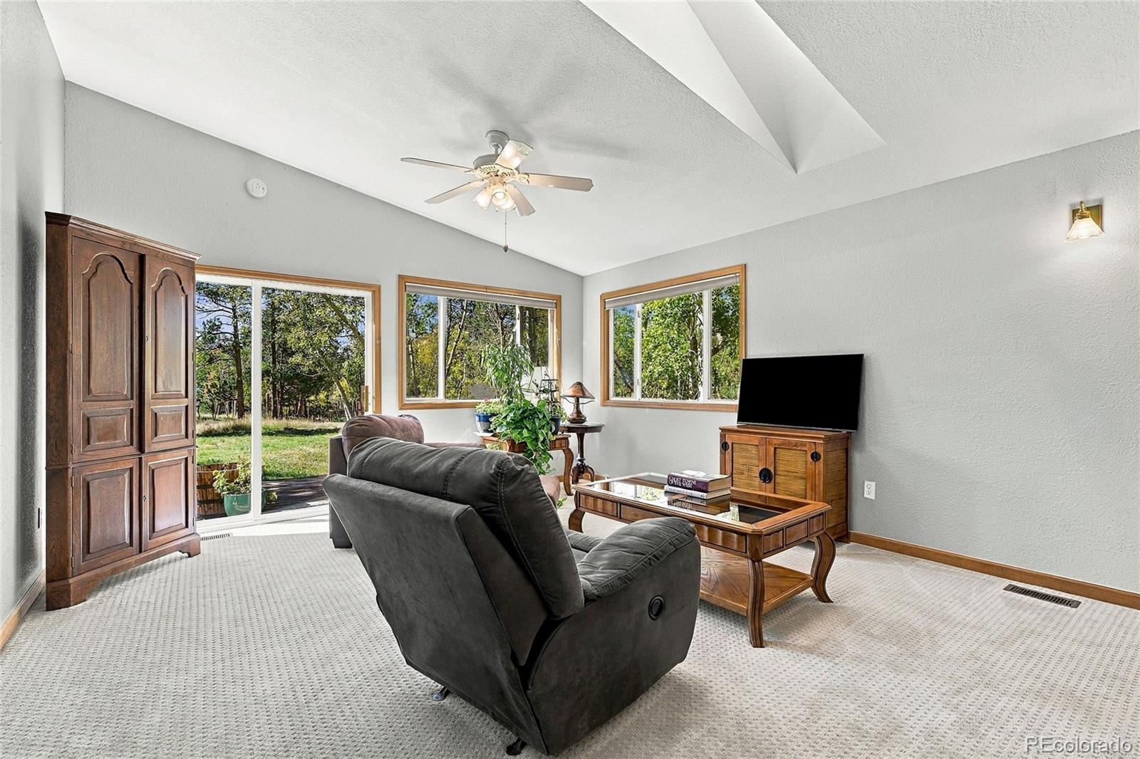 MLS Image #17 for 533  burland drive,bailey, Colorado