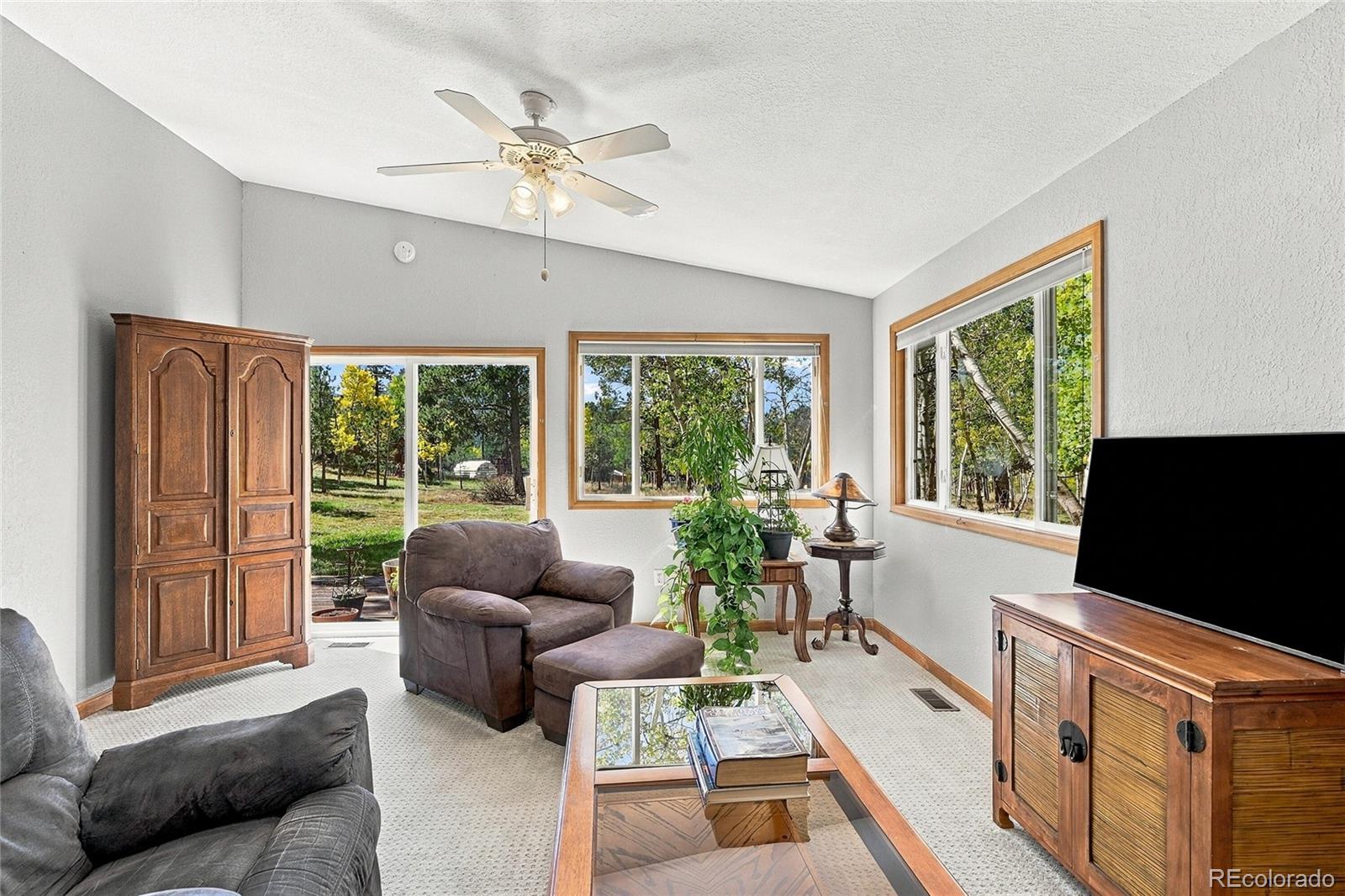MLS Image #19 for 533  burland drive,bailey, Colorado