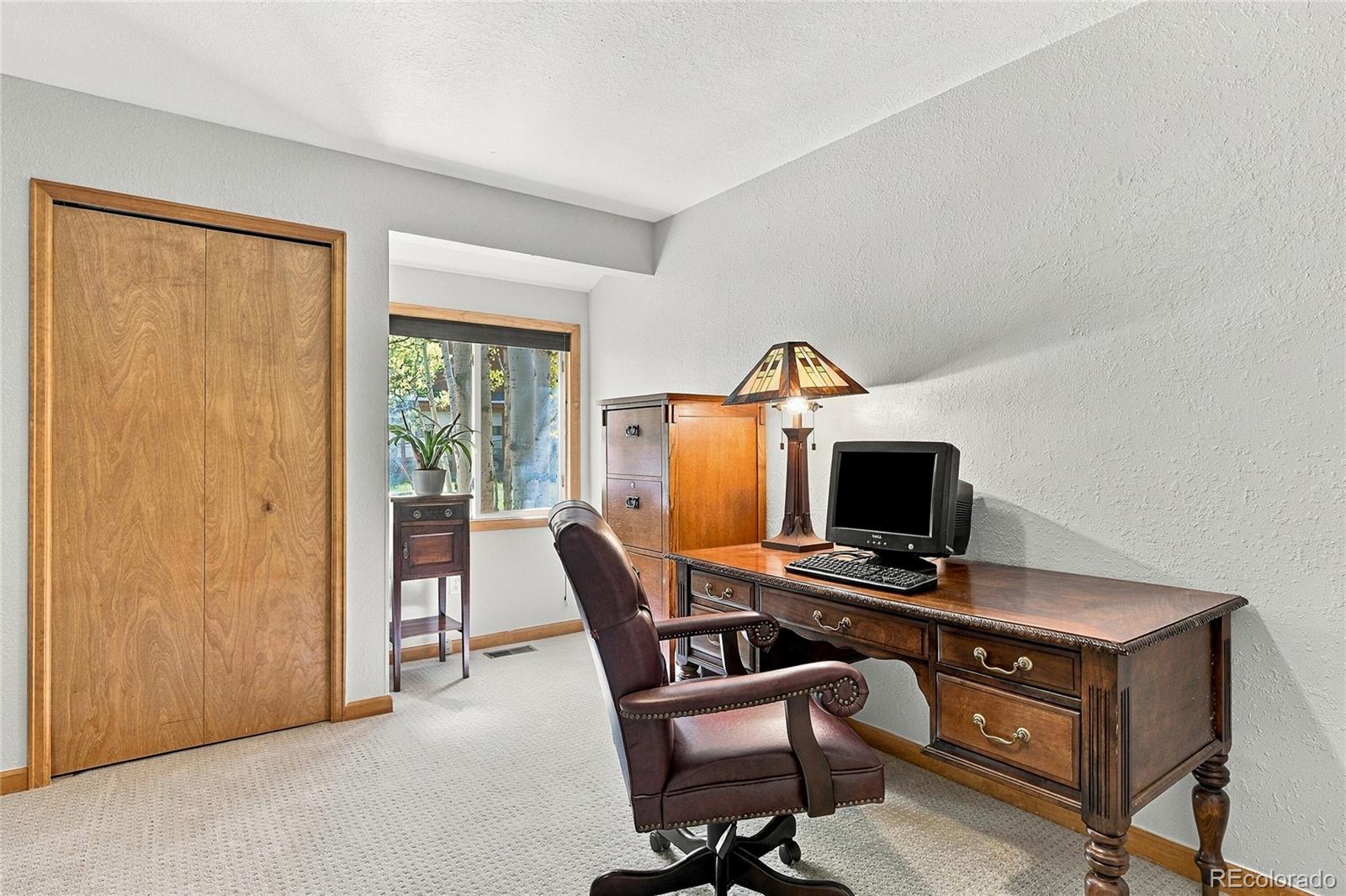 MLS Image #29 for 533  burland drive,bailey, Colorado