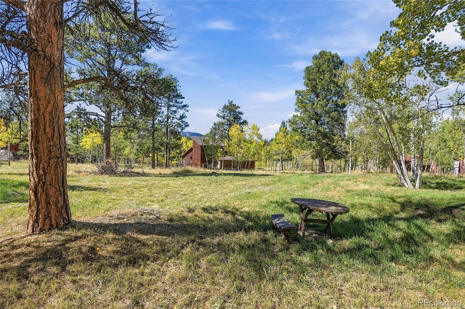 MLS Image #40 for 533  burland drive,bailey, Colorado