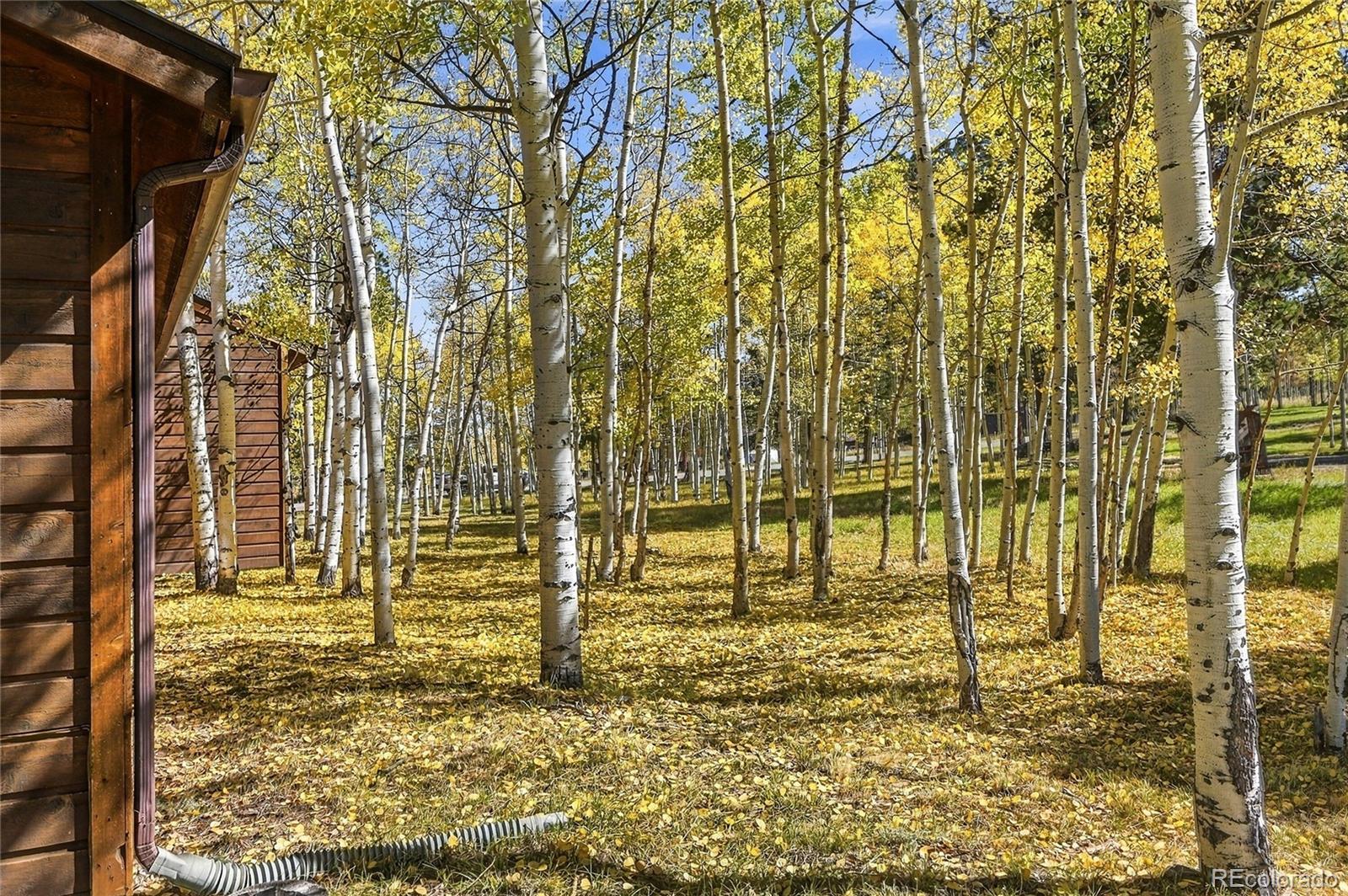 MLS Image #41 for 533  burland drive,bailey, Colorado