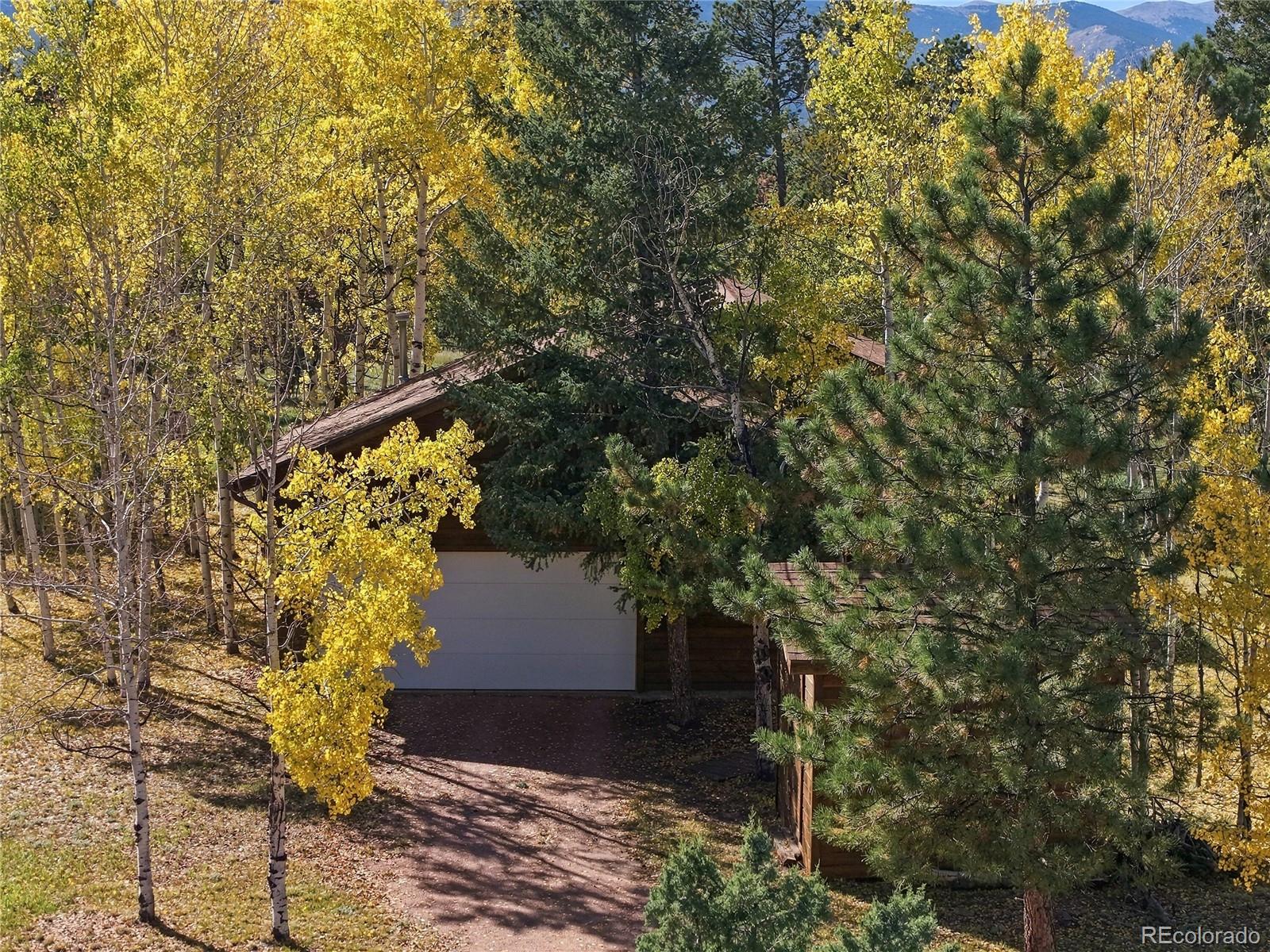 MLS Image #44 for 533  burland drive,bailey, Colorado