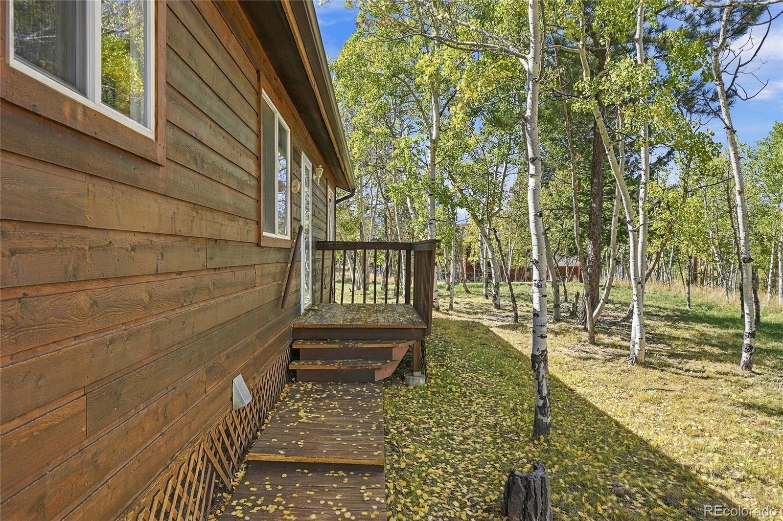 MLS Image #5 for 533  burland drive,bailey, Colorado