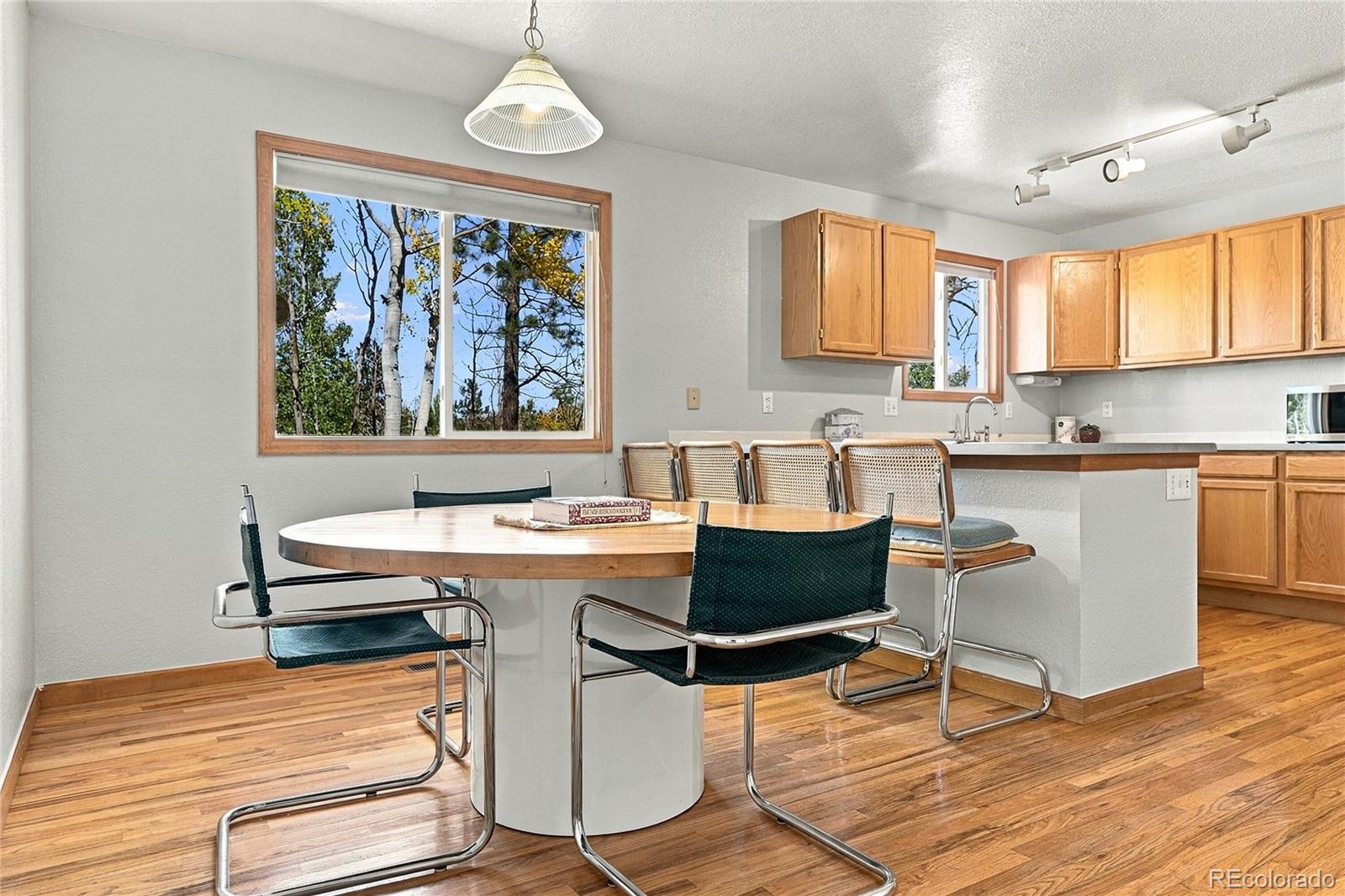 MLS Image #8 for 533  burland drive,bailey, Colorado