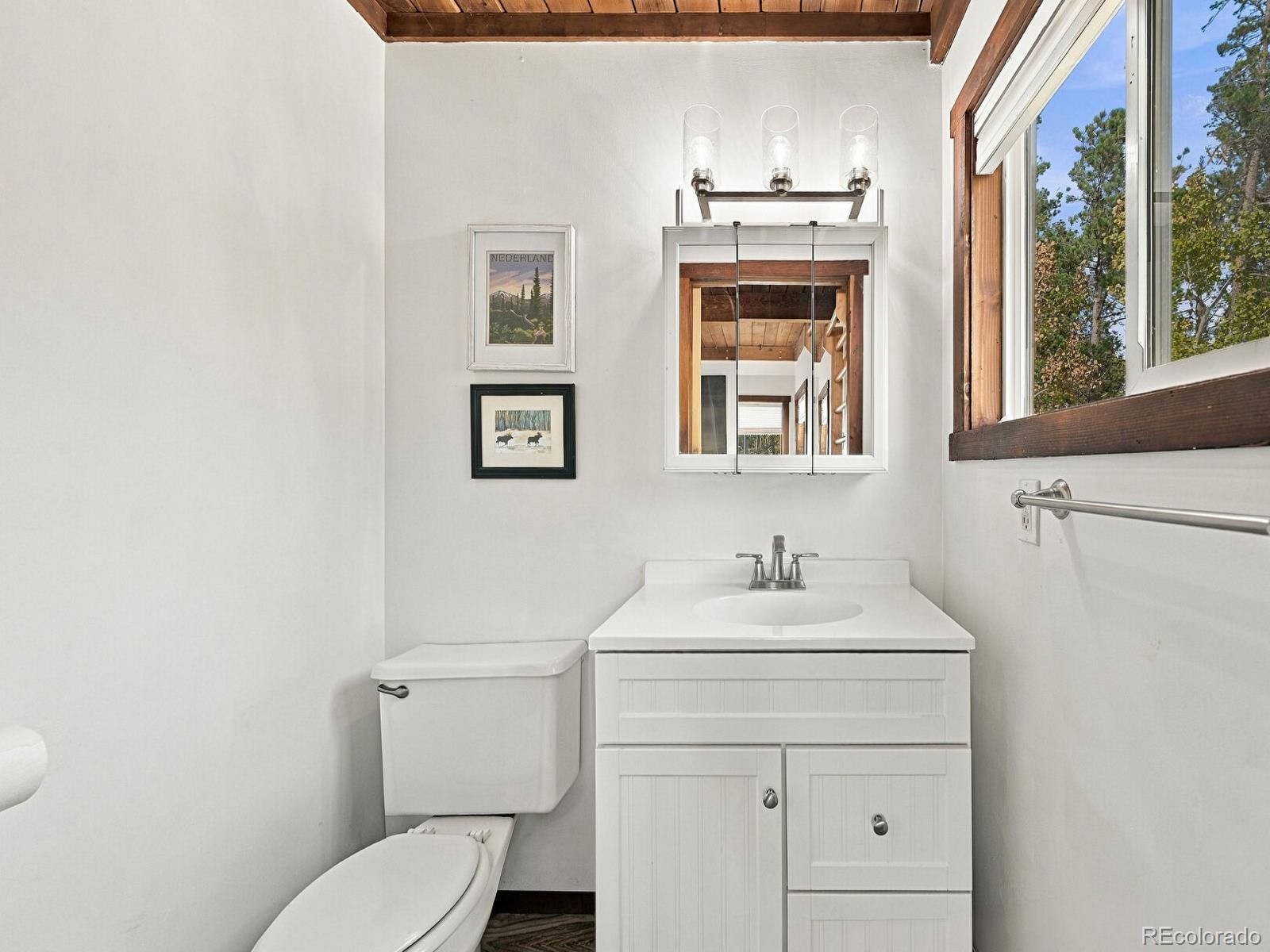 MLS Image #16 for 2  debra ann road,golden, Colorado
