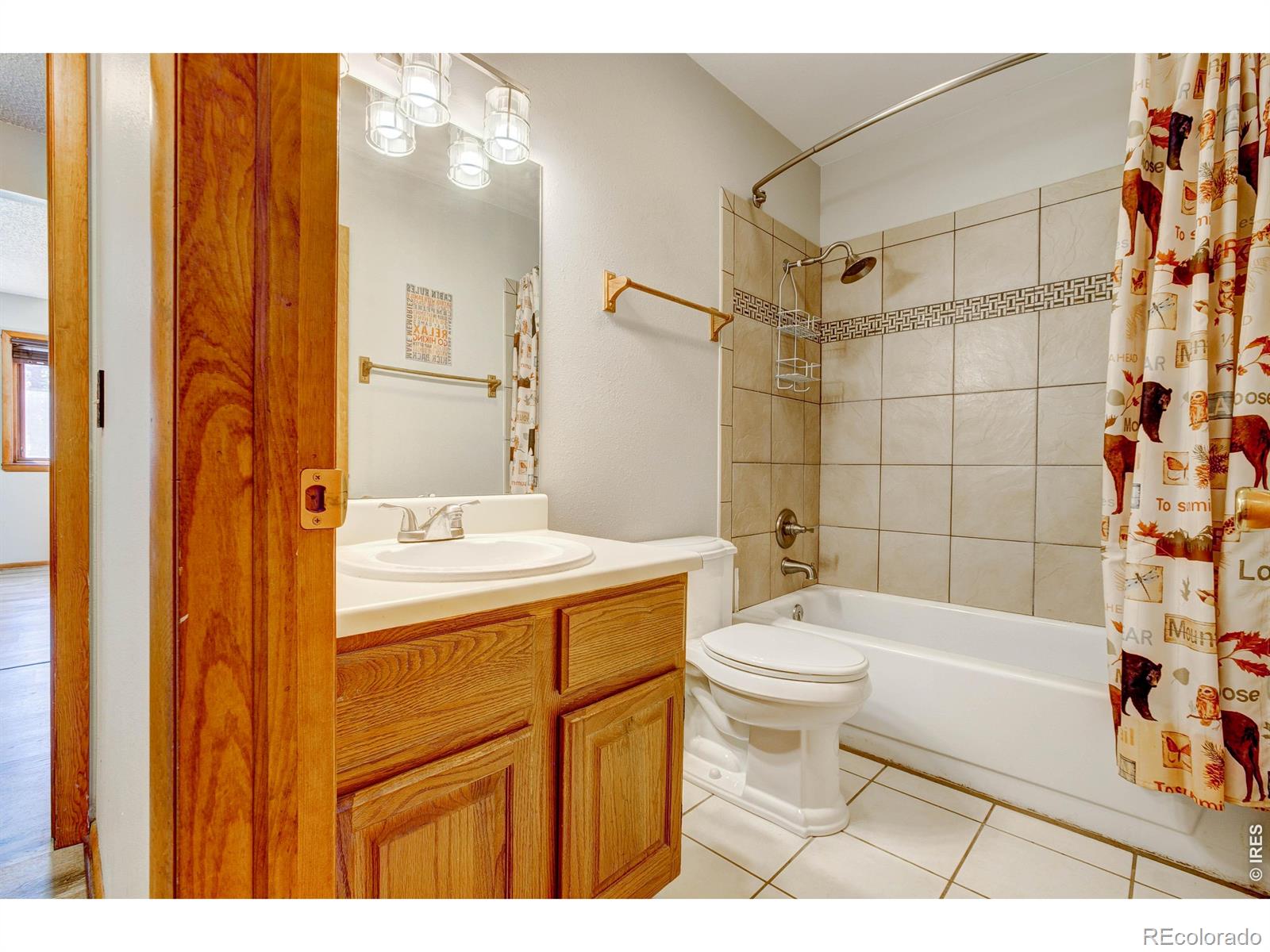 MLS Image #23 for 1069  morgan street,estes park, Colorado