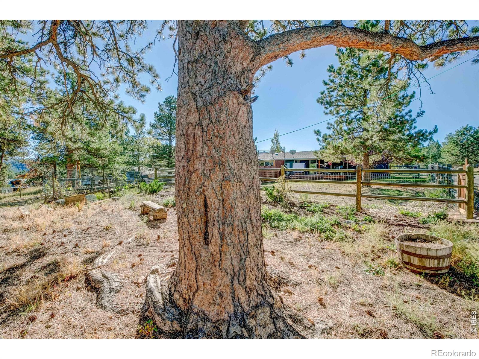 MLS Image #34 for 1069  morgan street,estes park, Colorado