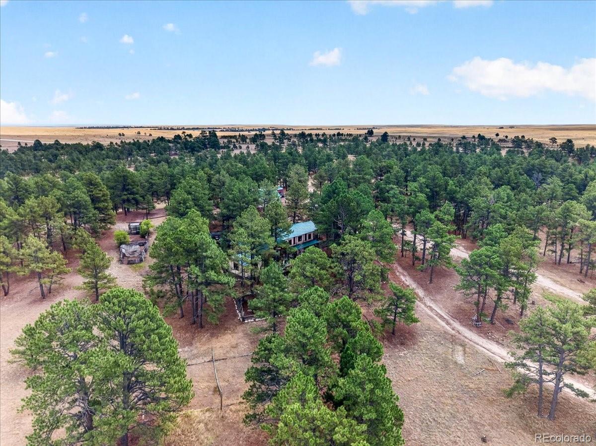 MLS Image #16 for 32901  ridge road,ramah, Colorado