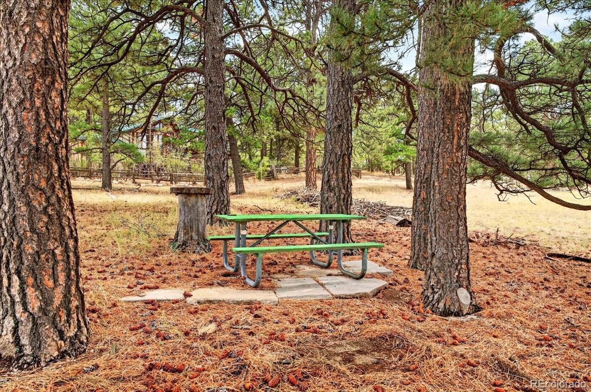 MLS Image #19 for 32901  ridge road,ramah, Colorado