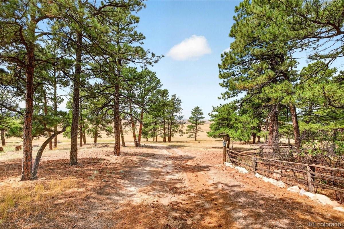 MLS Image #20 for 32901  ridge road,ramah, Colorado