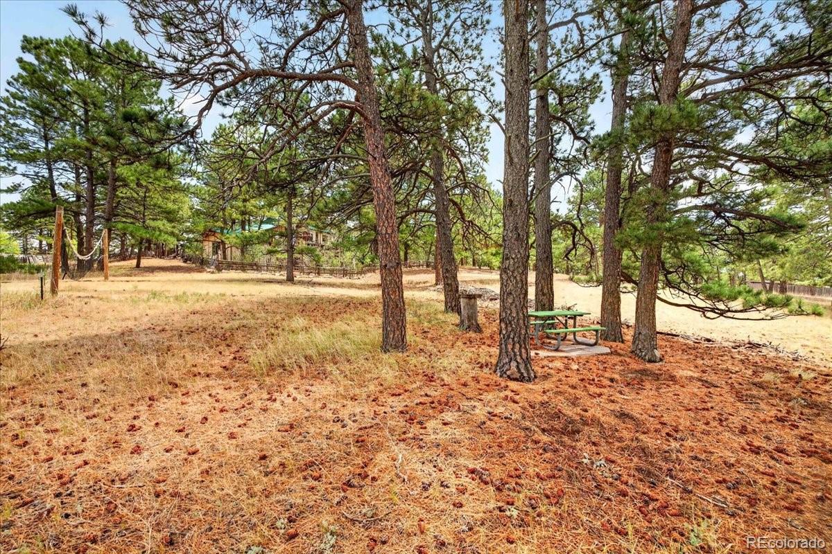 MLS Image #21 for 32901  ridge road,ramah, Colorado