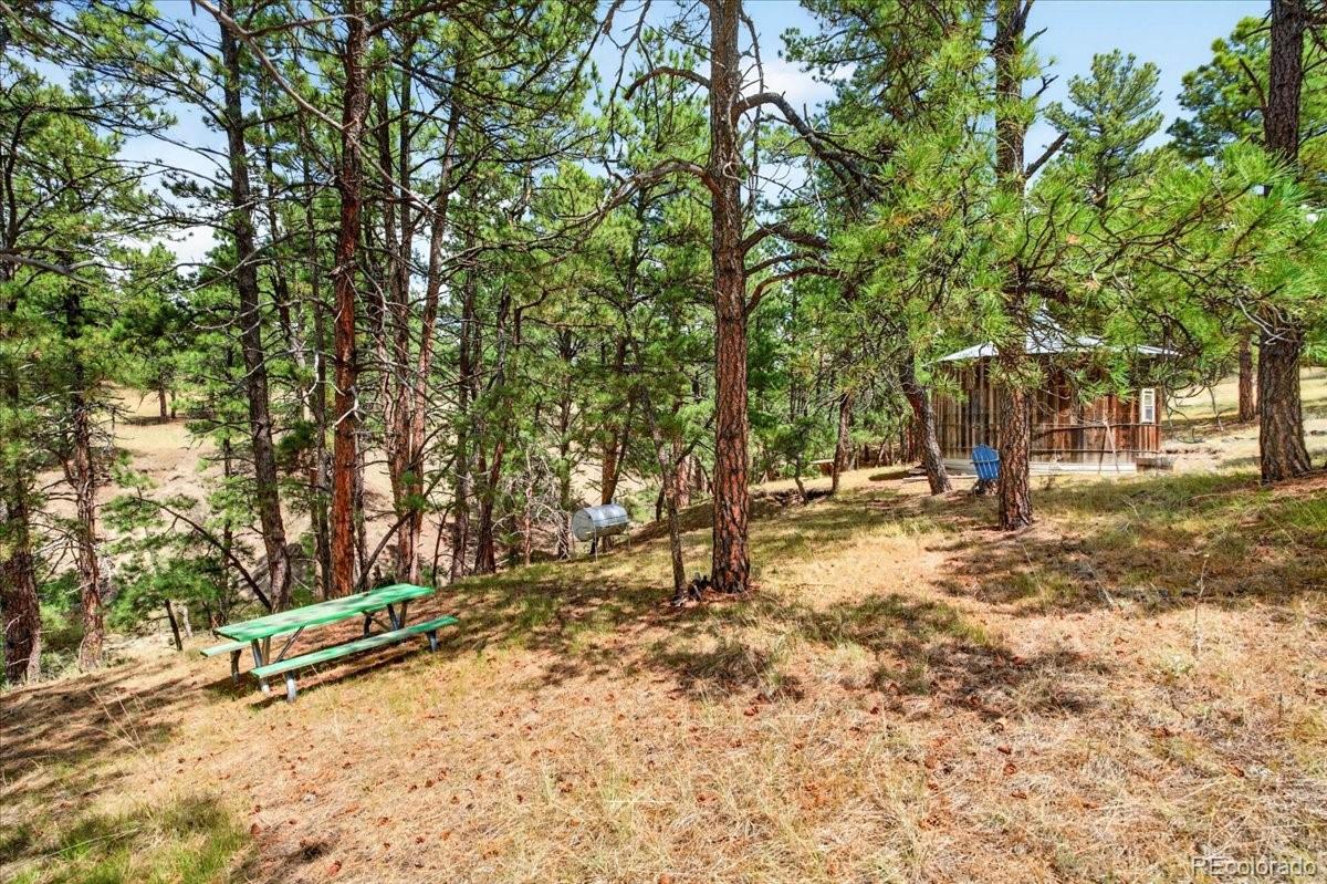MLS Image #22 for 32901  ridge road,ramah, Colorado