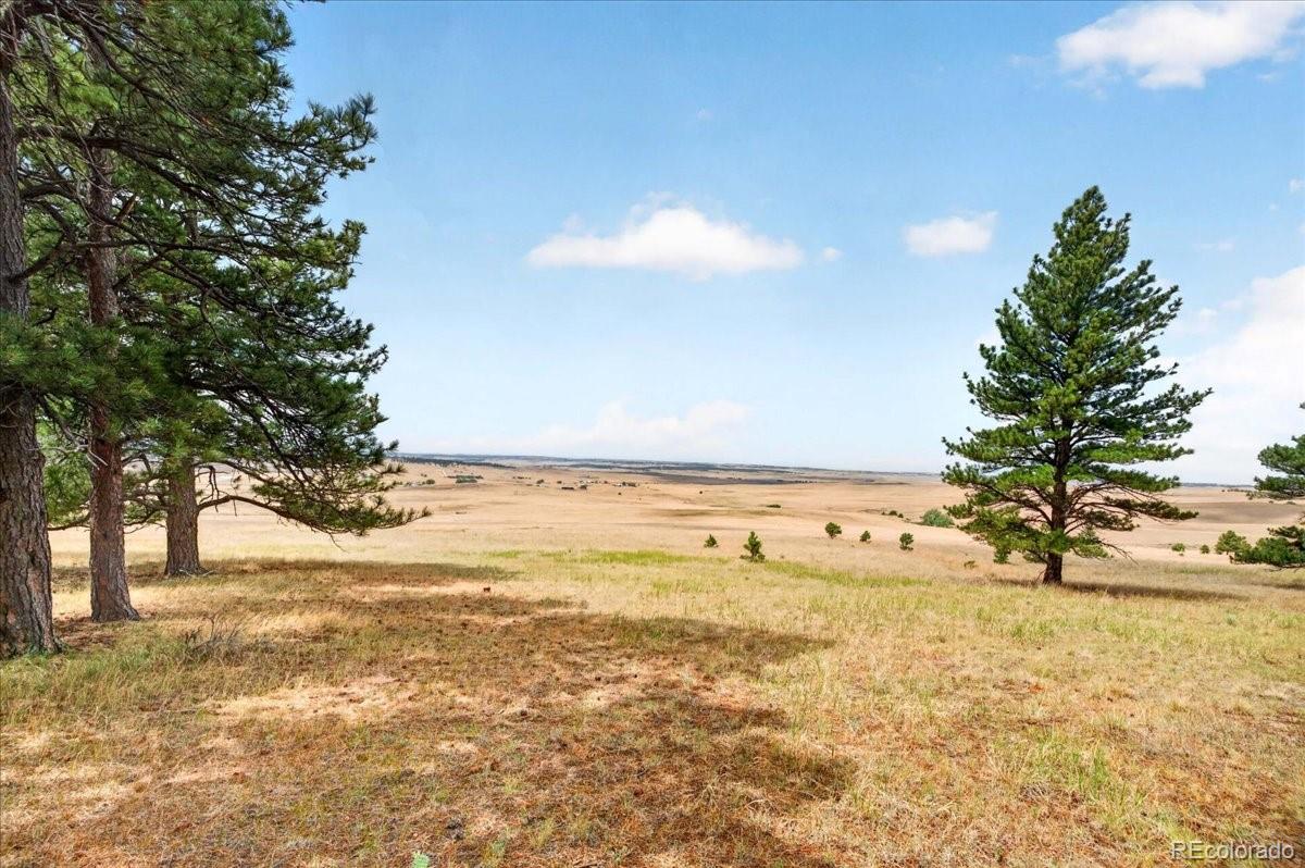 MLS Image #23 for 32901  ridge road,ramah, Colorado