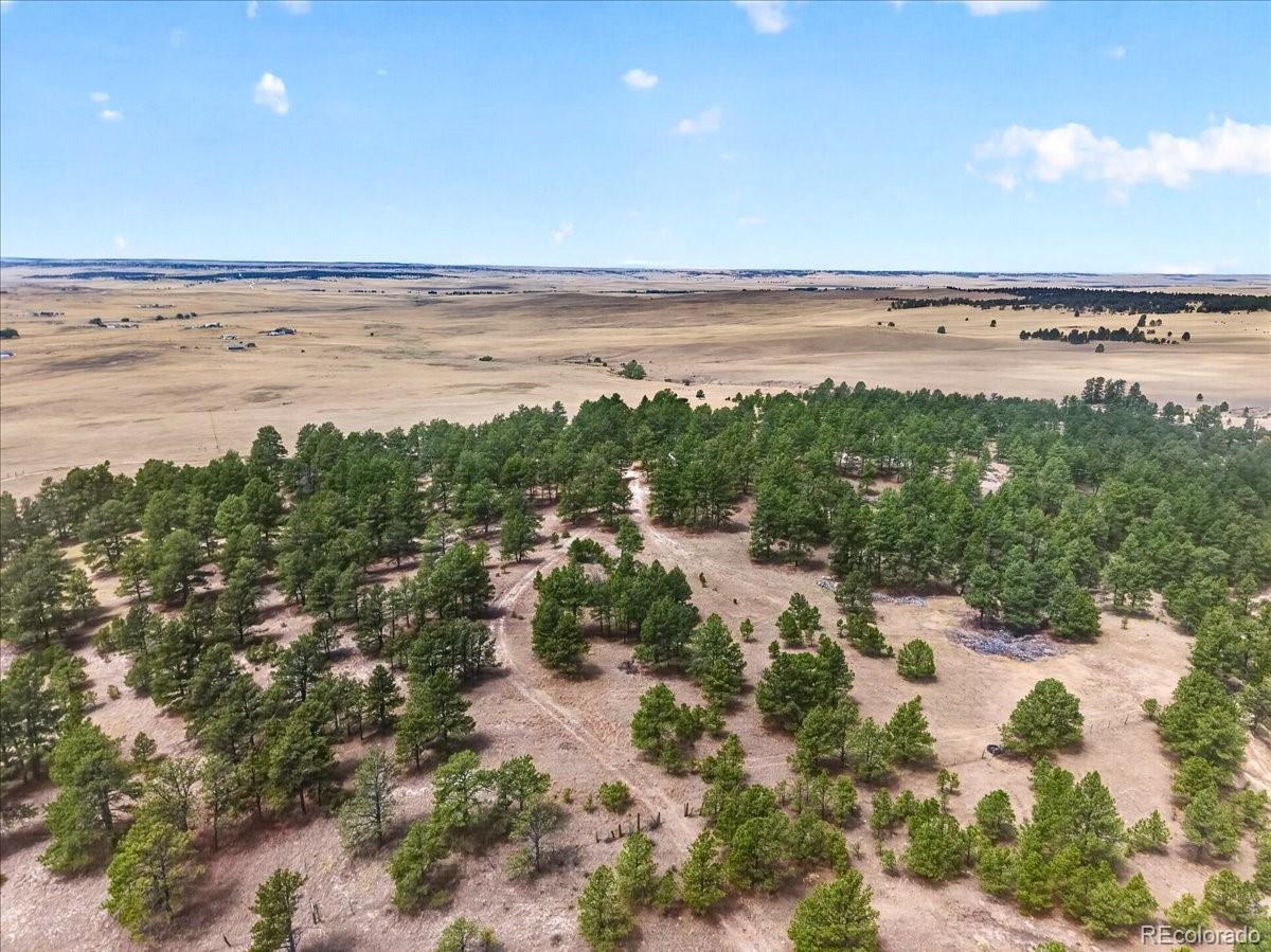MLS Image #25 for 32901  ridge road,ramah, Colorado