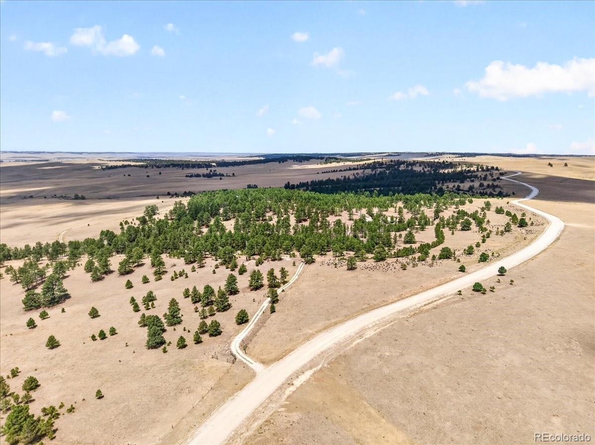 MLS Image #5 for 32901  ridge road,ramah, Colorado