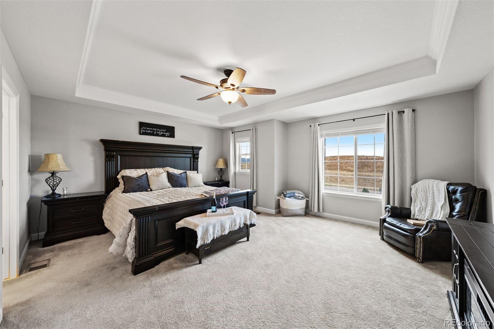 MLS Image #12 for 9524  taylor river circle,littleton, Colorado