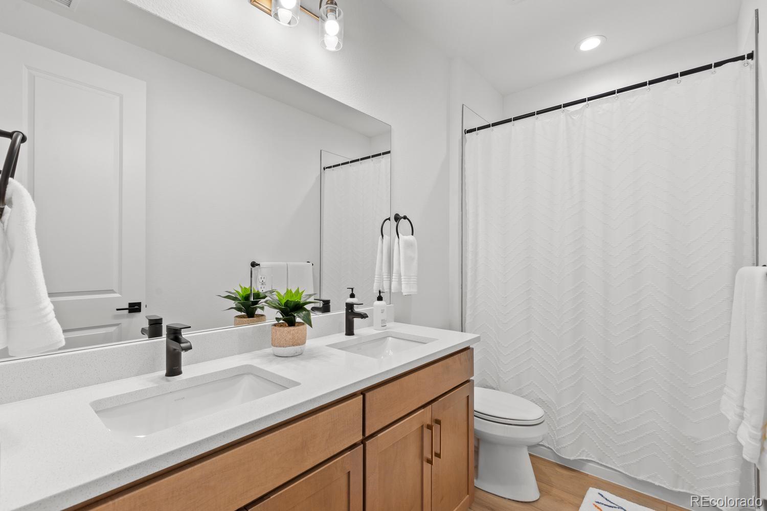 MLS Image #28 for 459  welded tuff trail,castle rock, Colorado