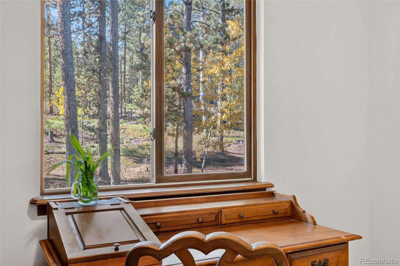 MLS Image #11 for 10868  norton avenue,conifer, Colorado