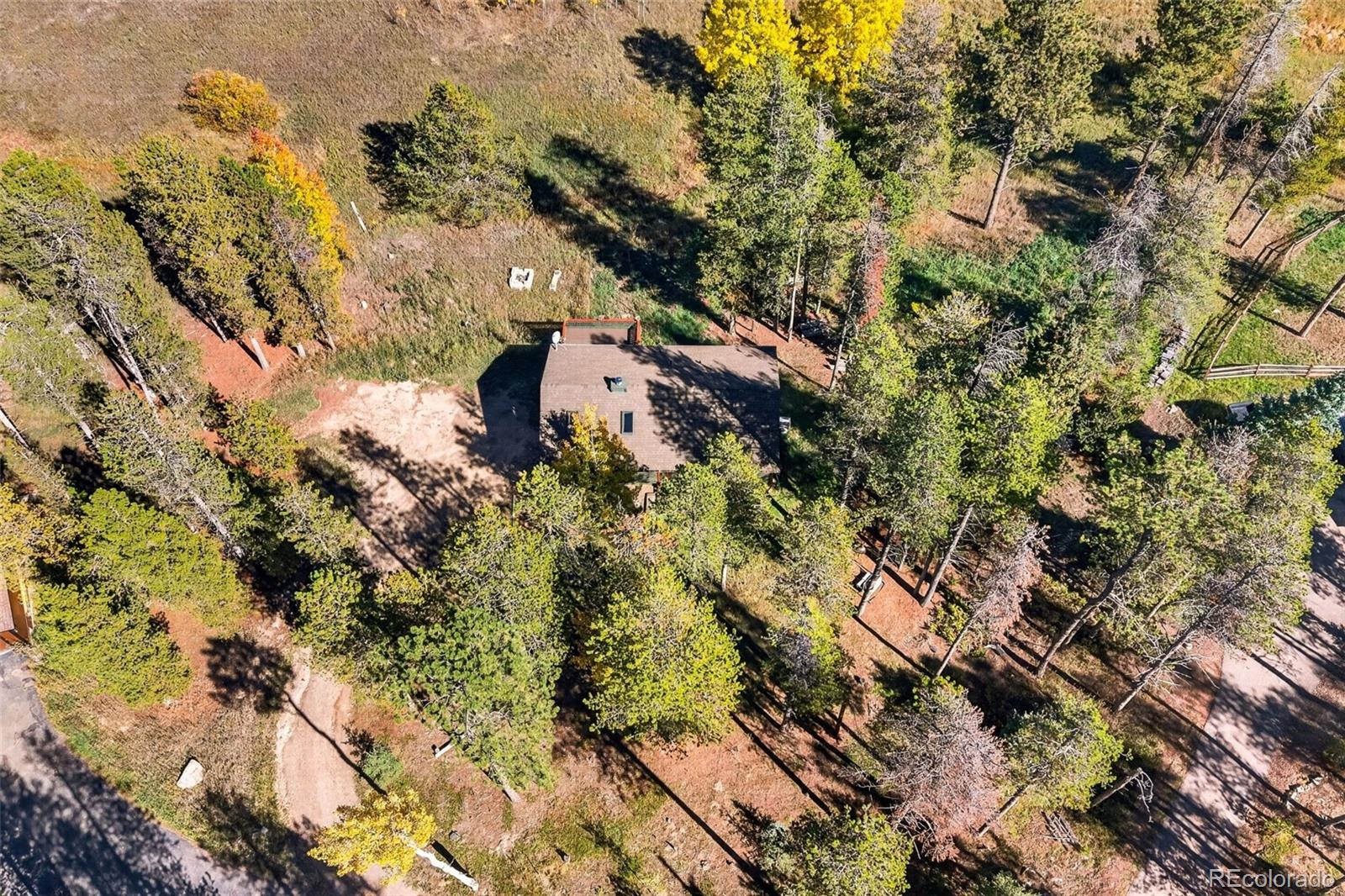 MLS Image #26 for 10868  norton avenue,conifer, Colorado