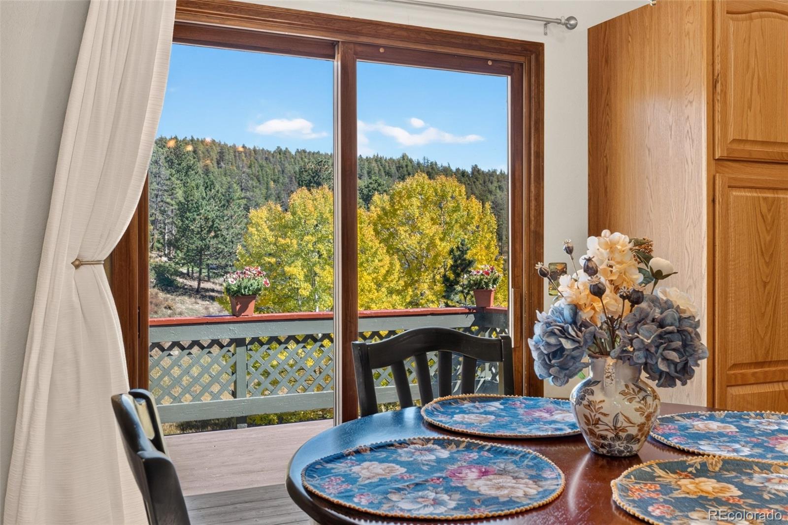 MLS Image #4 for 10868  norton avenue,conifer, Colorado