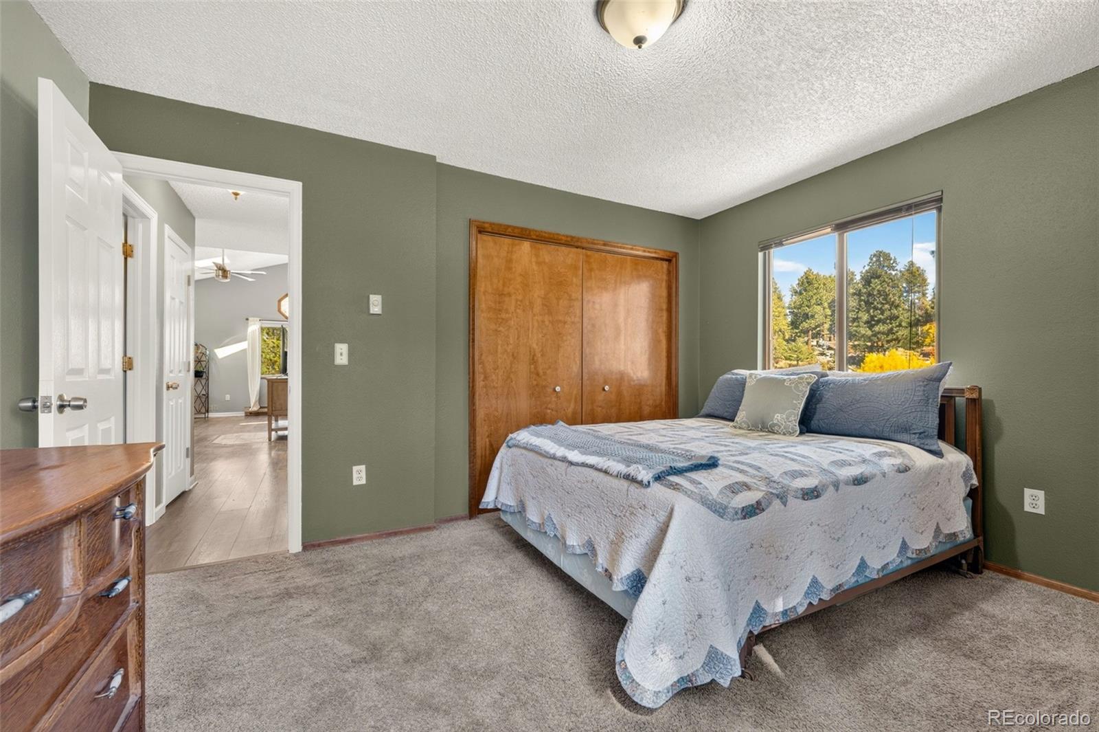 MLS Image #7 for 10868  norton avenue,conifer, Colorado