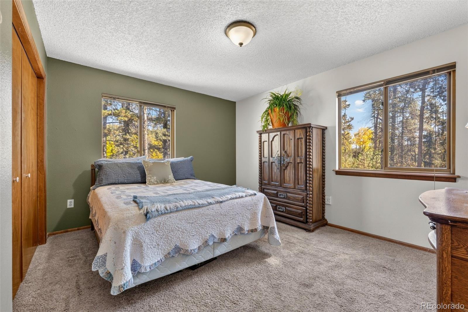 MLS Image #8 for 10868  norton avenue,conifer, Colorado