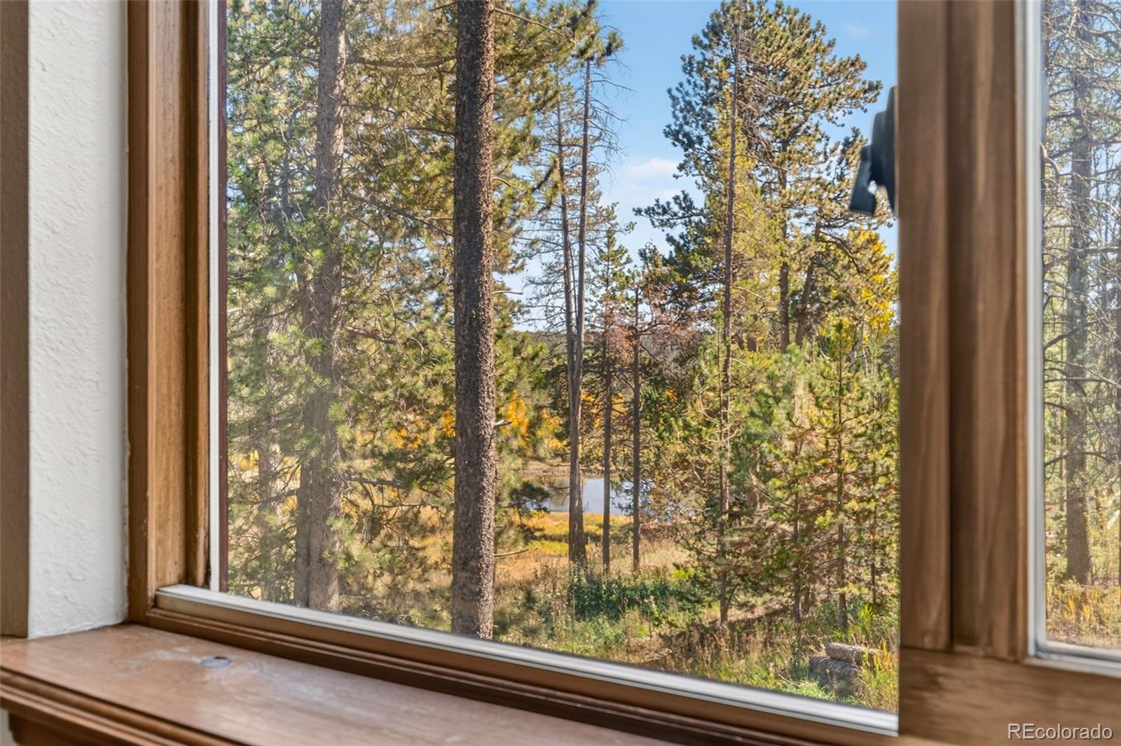 MLS Image #9 for 10868  norton avenue,conifer, Colorado