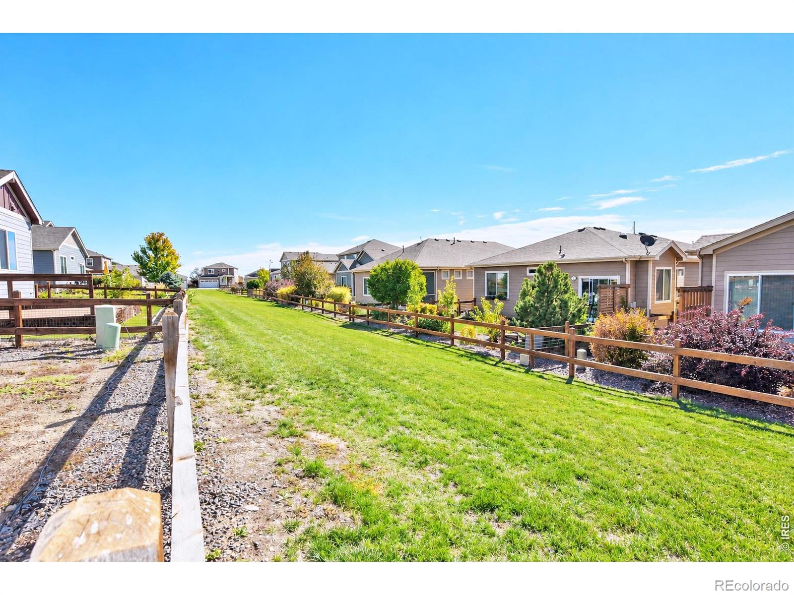 MLS Image #44 for 3094  carney street,loveland, Colorado