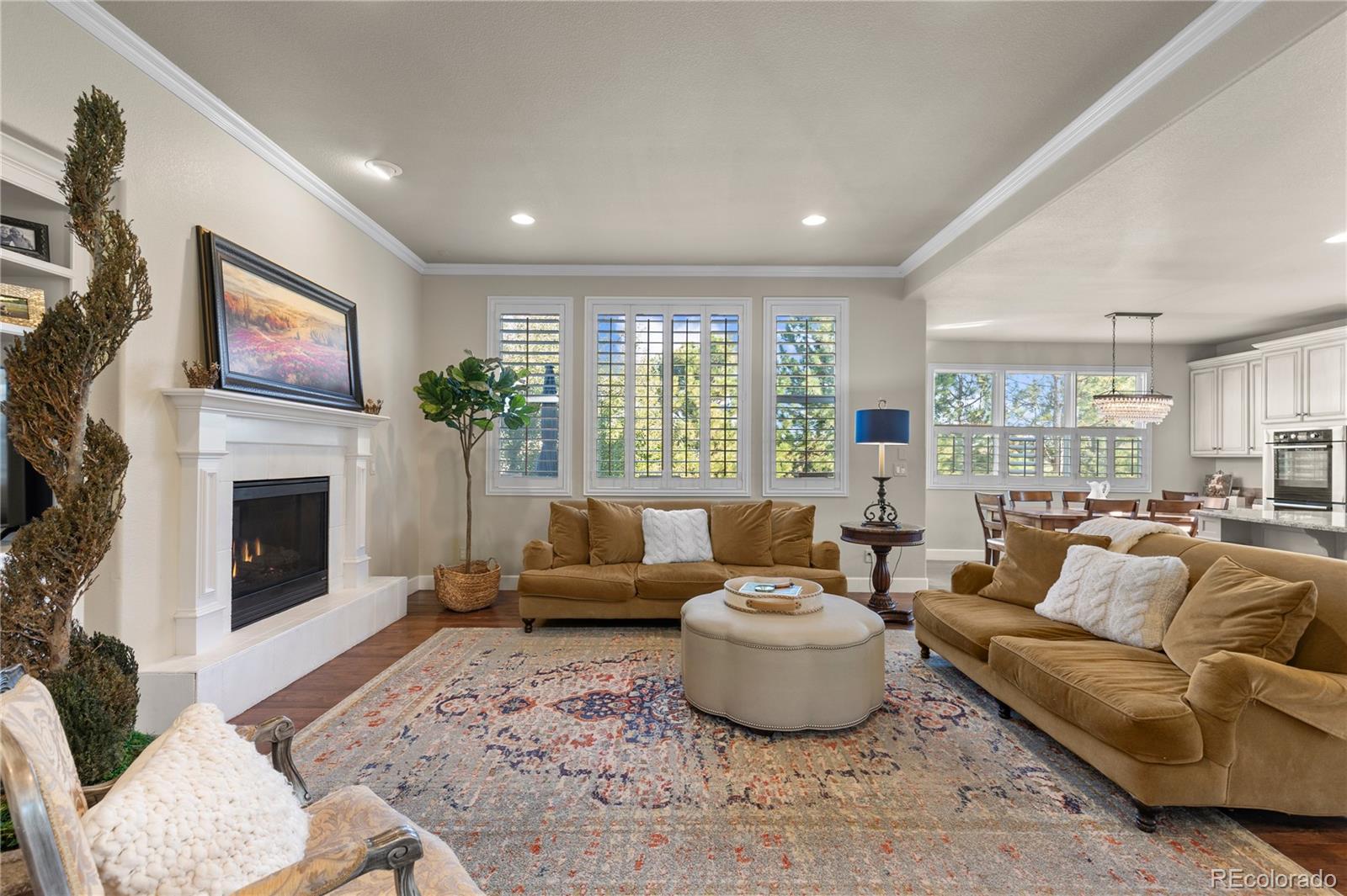 MLS Image #16 for 16201  belsay court,parker, Colorado