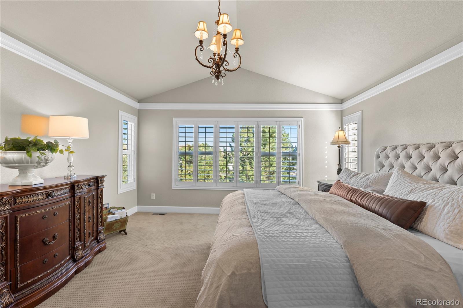 MLS Image #18 for 16201  belsay court,parker, Colorado