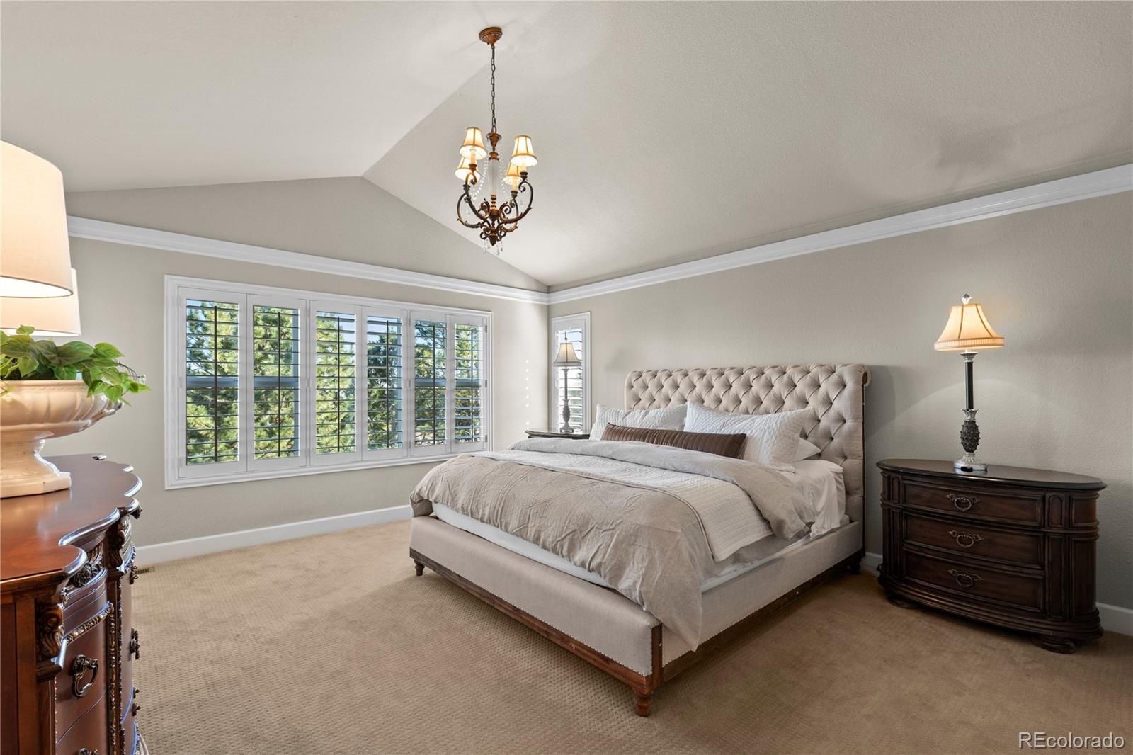 MLS Image #19 for 16201  belsay court,parker, Colorado