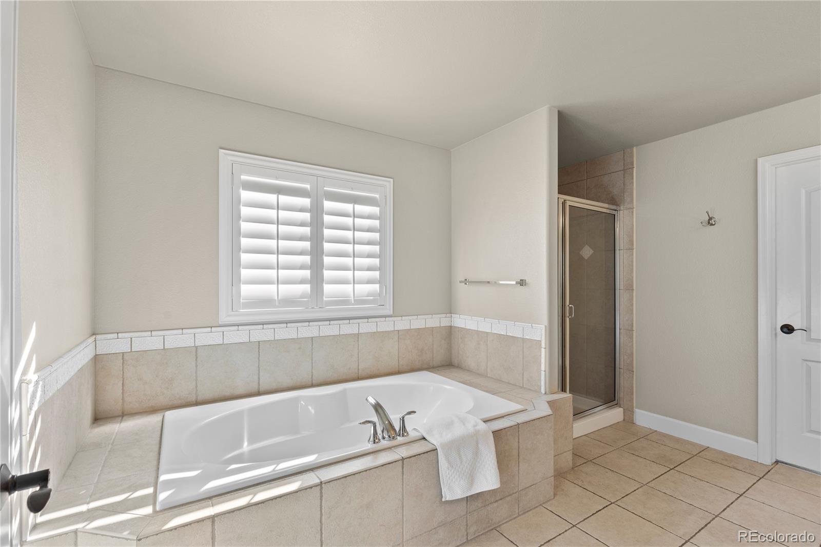 MLS Image #21 for 16201  belsay court,parker, Colorado