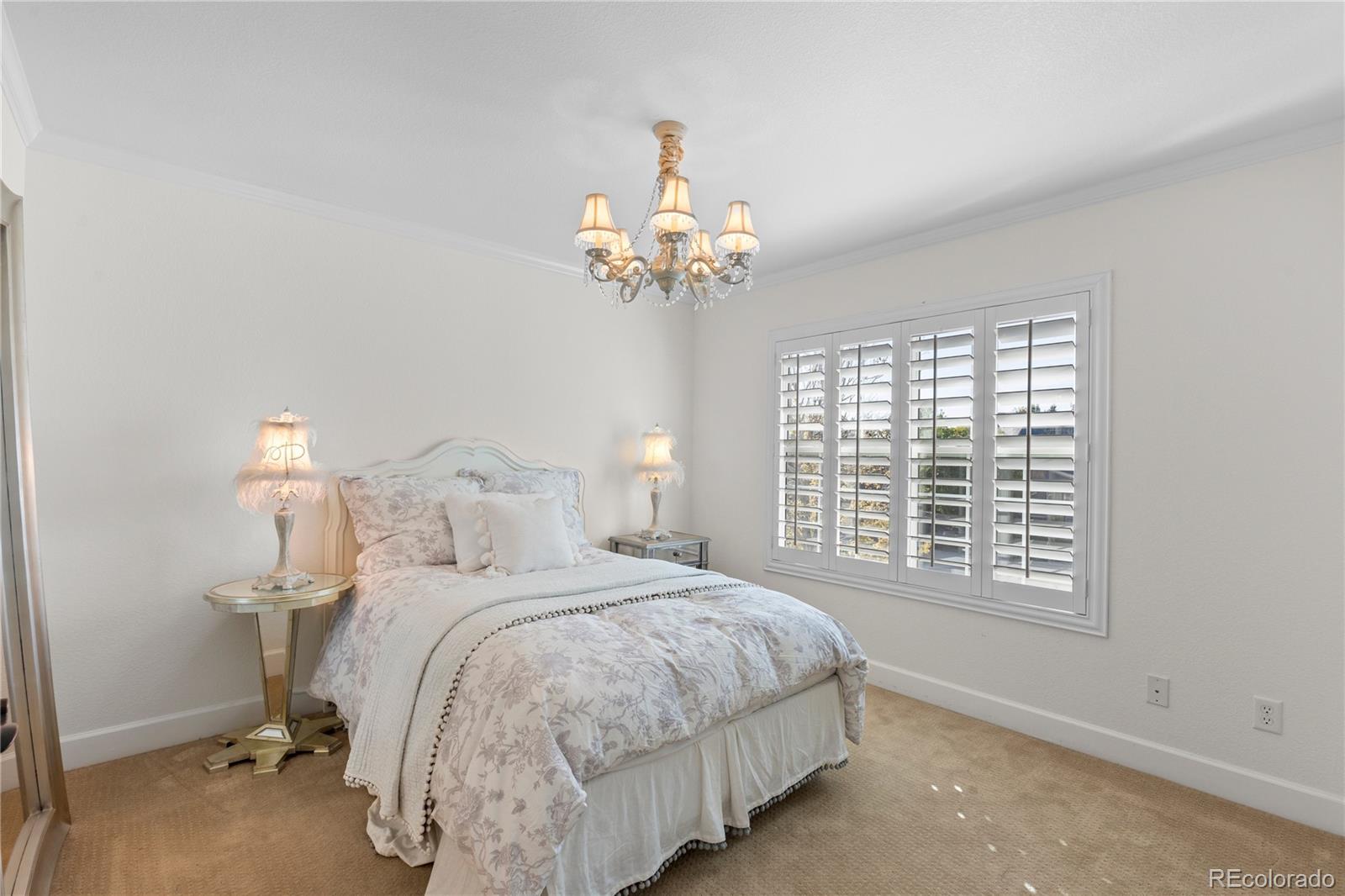 MLS Image #22 for 16201  belsay court,parker, Colorado