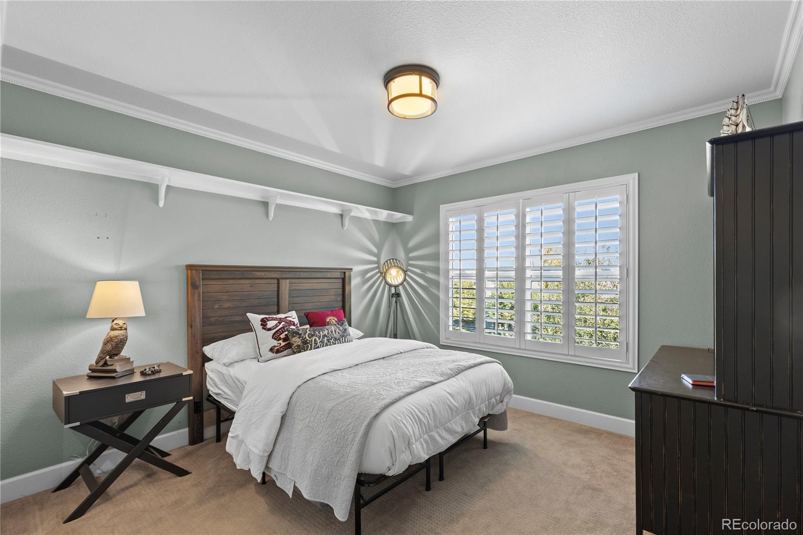 MLS Image #24 for 16201  belsay court,parker, Colorado