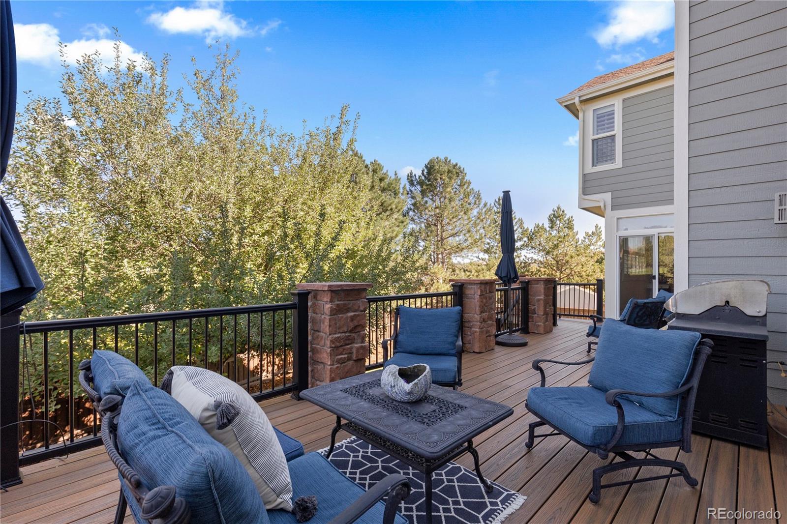 MLS Image #38 for 16201  belsay court,parker, Colorado