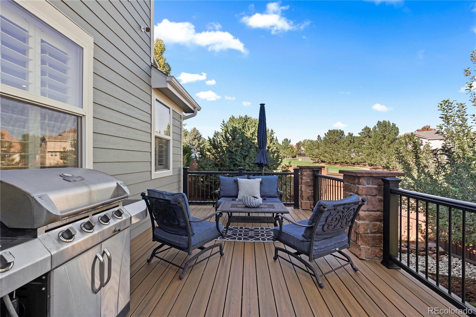 MLS Image #40 for 16201  belsay court,parker, Colorado